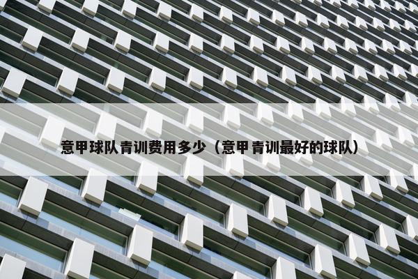 意甲球队青训费用多少（意甲青训最好的球队）