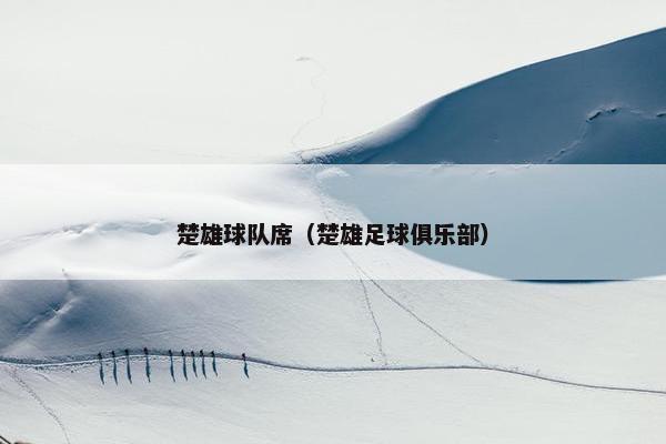 楚雄球队席（楚雄足球俱乐部）