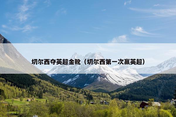 切尔西夺英超金靴（切尔西第一次赢英超）