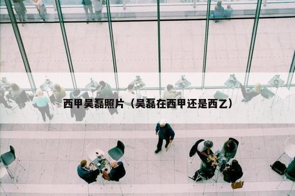 西甲吴磊照片（吴磊在西甲还是西乙）