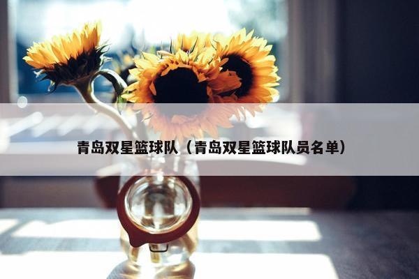 青岛双星篮球队（青岛双星篮球队员名单）