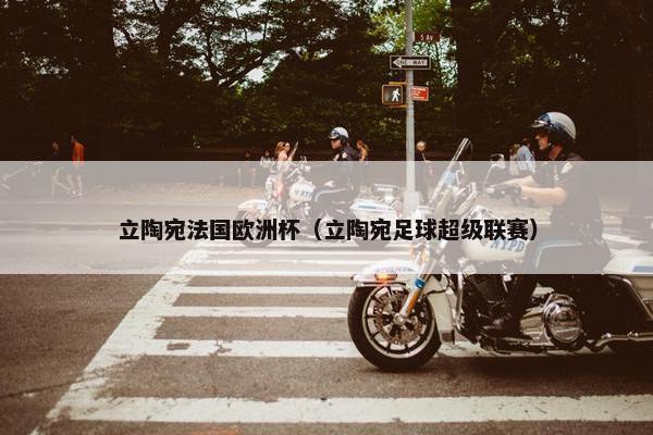 立陶宛法国欧洲杯（立陶宛足球超级联赛）