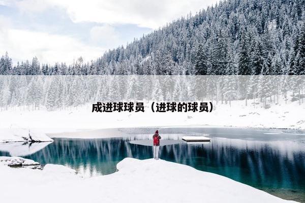 成进球球员（进球的球员）