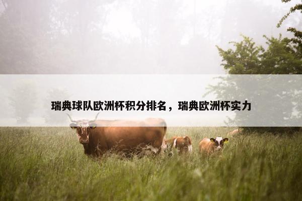 瑞典球队欧洲杯积分排名，瑞典欧洲杯实力