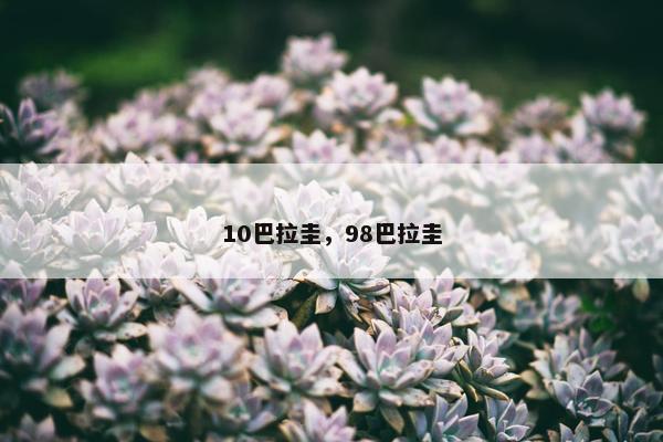 10巴拉圭，98巴拉圭