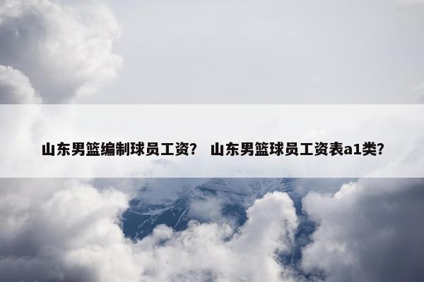 山东男篮编制球员工资？ 山东男篮球员工资表a1类？