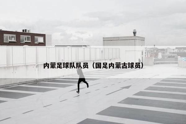 内蒙足球队队员（国足内蒙古球员）
