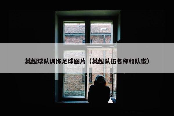 英超球队训练足球图片（英超队伍名称和队徽）