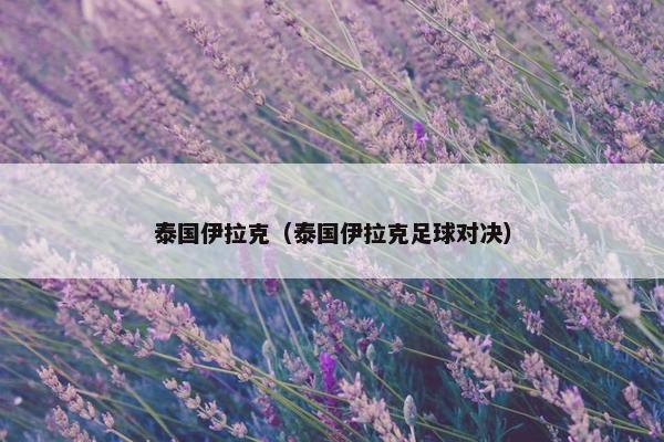 泰国伊拉克（泰国伊拉克足球对决）