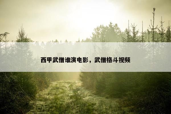 西甲武僧谁演电影，武僧格斗视频