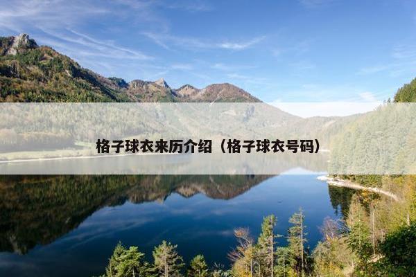 格子球衣来历介绍（格子球衣号码）