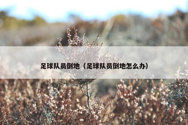 足球队员倒地（足球队员倒地怎么办）