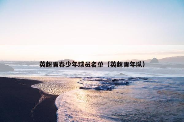 英超青春少年球员名单（英超青年队）