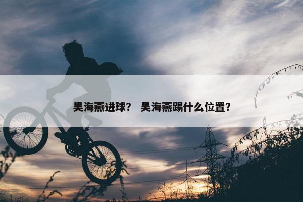 吴海燕进球？ 吴海燕踢什么位置？