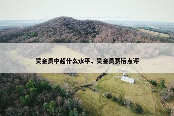 吴金贵中超什么水平，吴金贵赛后点评