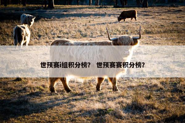 世预赛i组积分榜？ 世预赛赛积分榜？