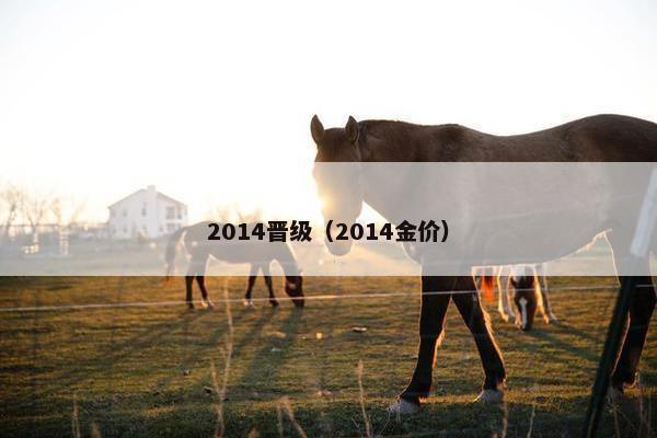 2014晋级（2014金价）