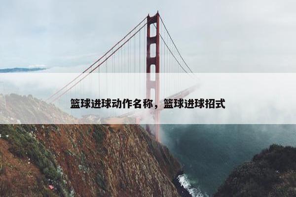篮球进球动作名称，篮球进球招式