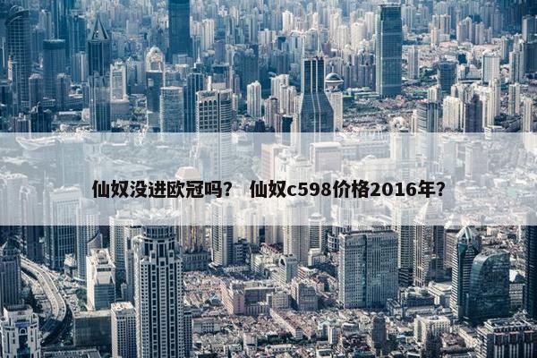 仙奴没进欧冠吗？ 仙奴c598价格2016年？