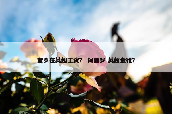 奎罗在英超工资？ 阿奎罗 英超金靴？