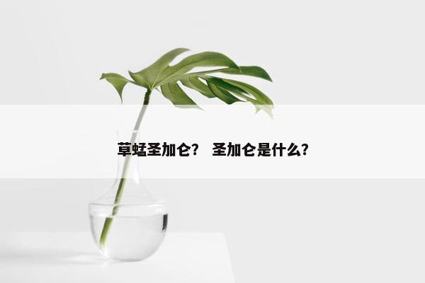 草蜢圣加仑？ 圣加仑是什么？