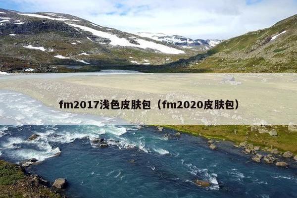 fm2017浅色皮肤包（fm2020皮肤包）