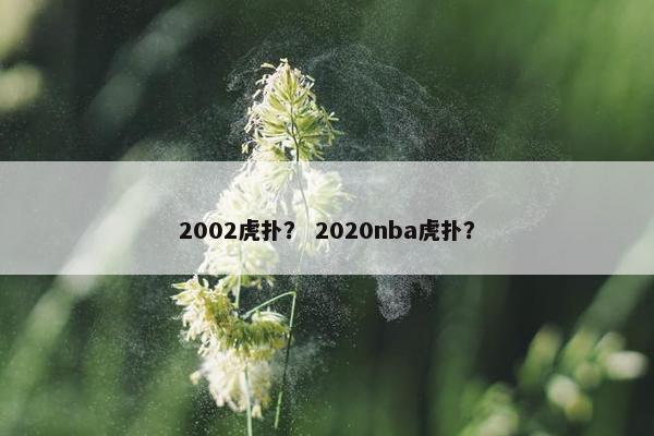 2002虎扑？ 2020nba虎扑？