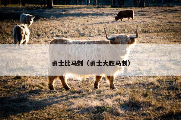 勇士比马刺（勇士大胜马刺）