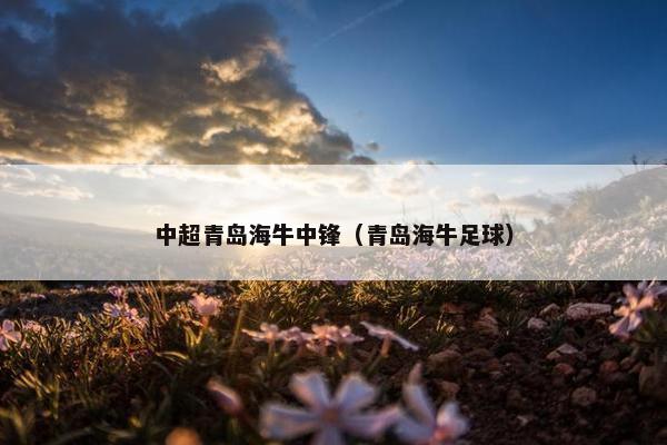 中超青岛海牛中锋（青岛海牛足球）