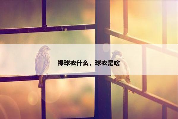 裸球衣什么，球衣是啥