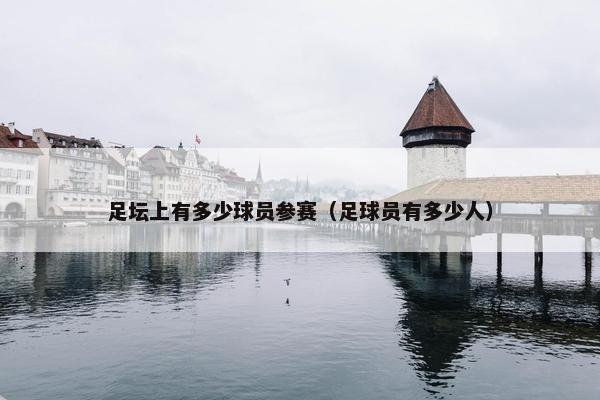 足坛上有多少球员参赛（足球员有多少人）