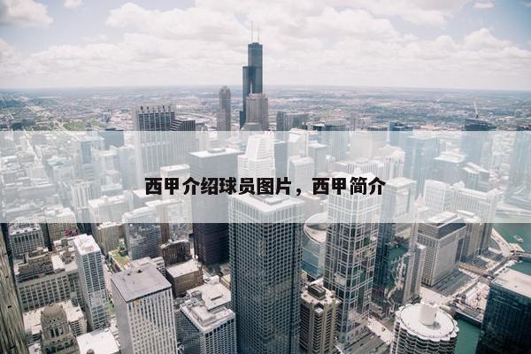 西甲介绍球员图片，西甲简介
