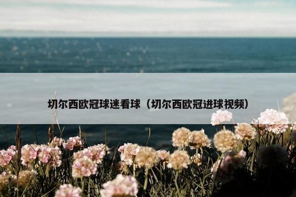 切尔西欧冠球迷看球（切尔西欧冠进球视频）