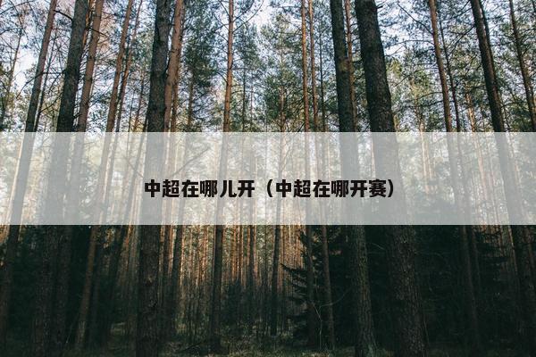 中超在哪儿开（中超在哪开赛）