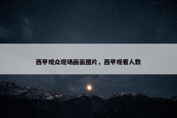 西甲观众现场画面图片，西甲观看人数