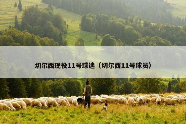切尔西现役11号球迷（切尔西11号球员）