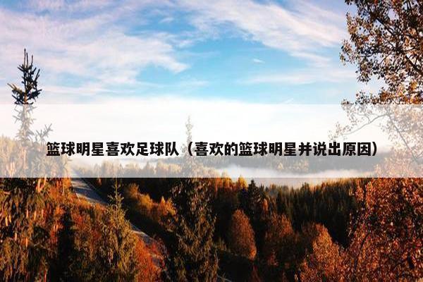 篮球明星喜欢足球队（喜欢的篮球明星并说出原因）