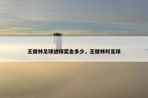 王健林足球进球奖金多少，王健林对足球