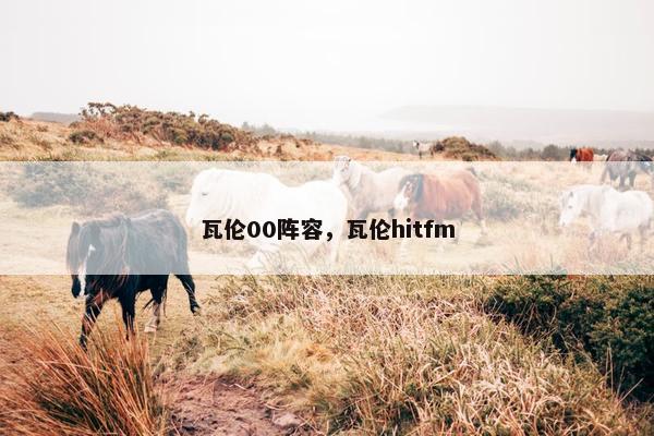 瓦伦00阵容，瓦伦hitfm