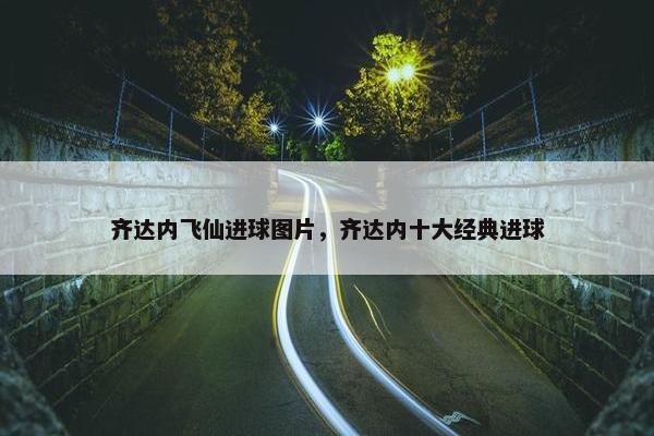 齐达内飞仙进球图片，齐达内十大经典进球
