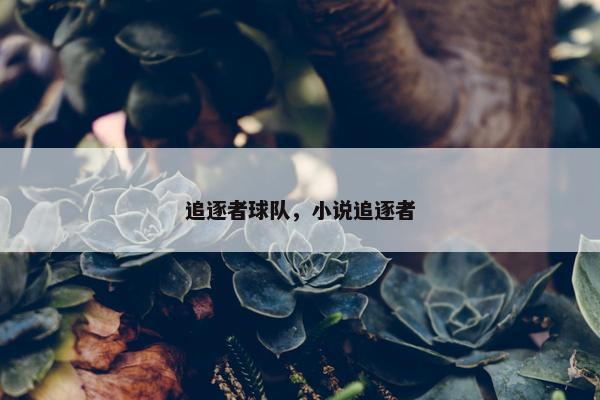 追逐者球队，小说追逐者