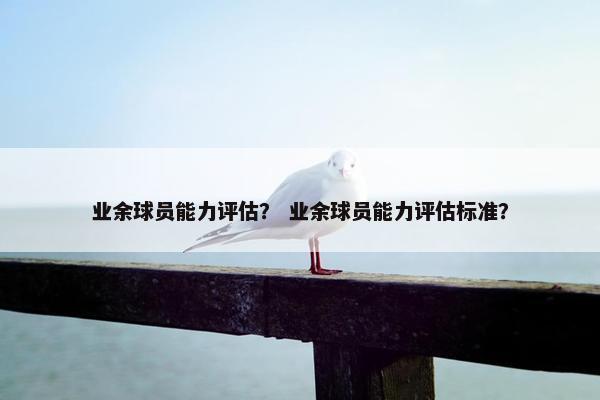 业余球员能力评估？ 业余球员能力评估标准？