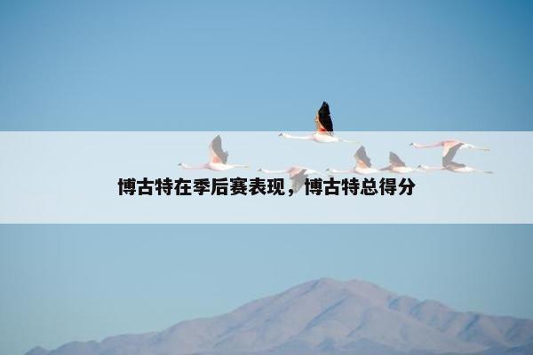 博古特在季后赛表现，博古特总得分