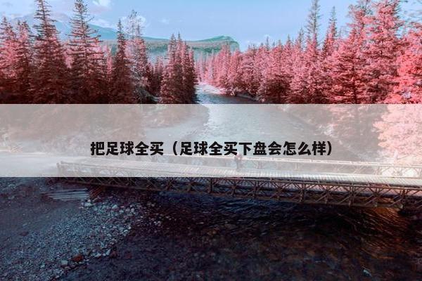 把足球全买（足球全买下盘会怎么样）