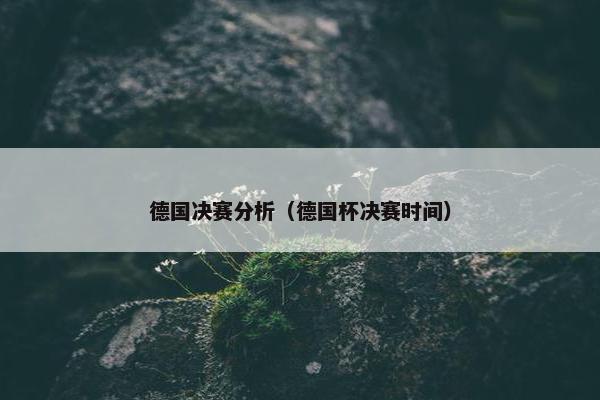 德国决赛分析（德国杯决赛时间）