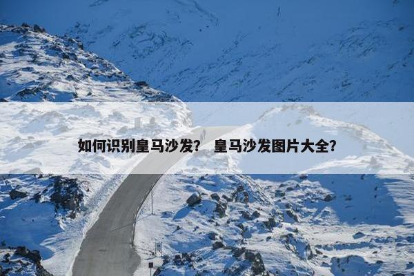 如何识别皇马沙发？ 皇马沙发图片大全？
