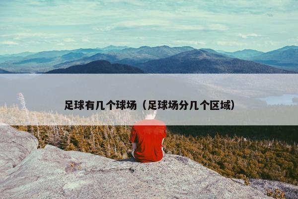足球有几个球场（足球场分几个区域）