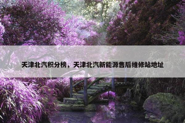 天津北汽积分榜，天津北汽新能源售后维修站地址