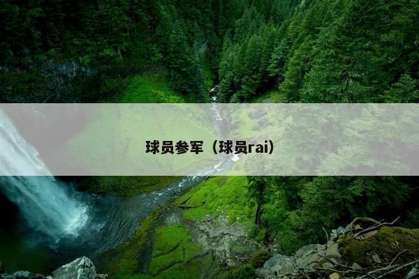 球员参军（球员rai）