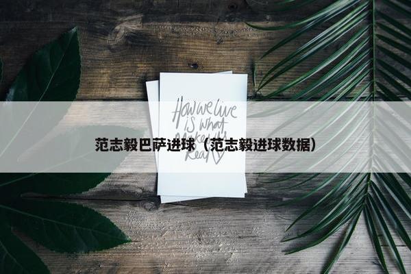 范志毅巴萨进球（范志毅进球数据）